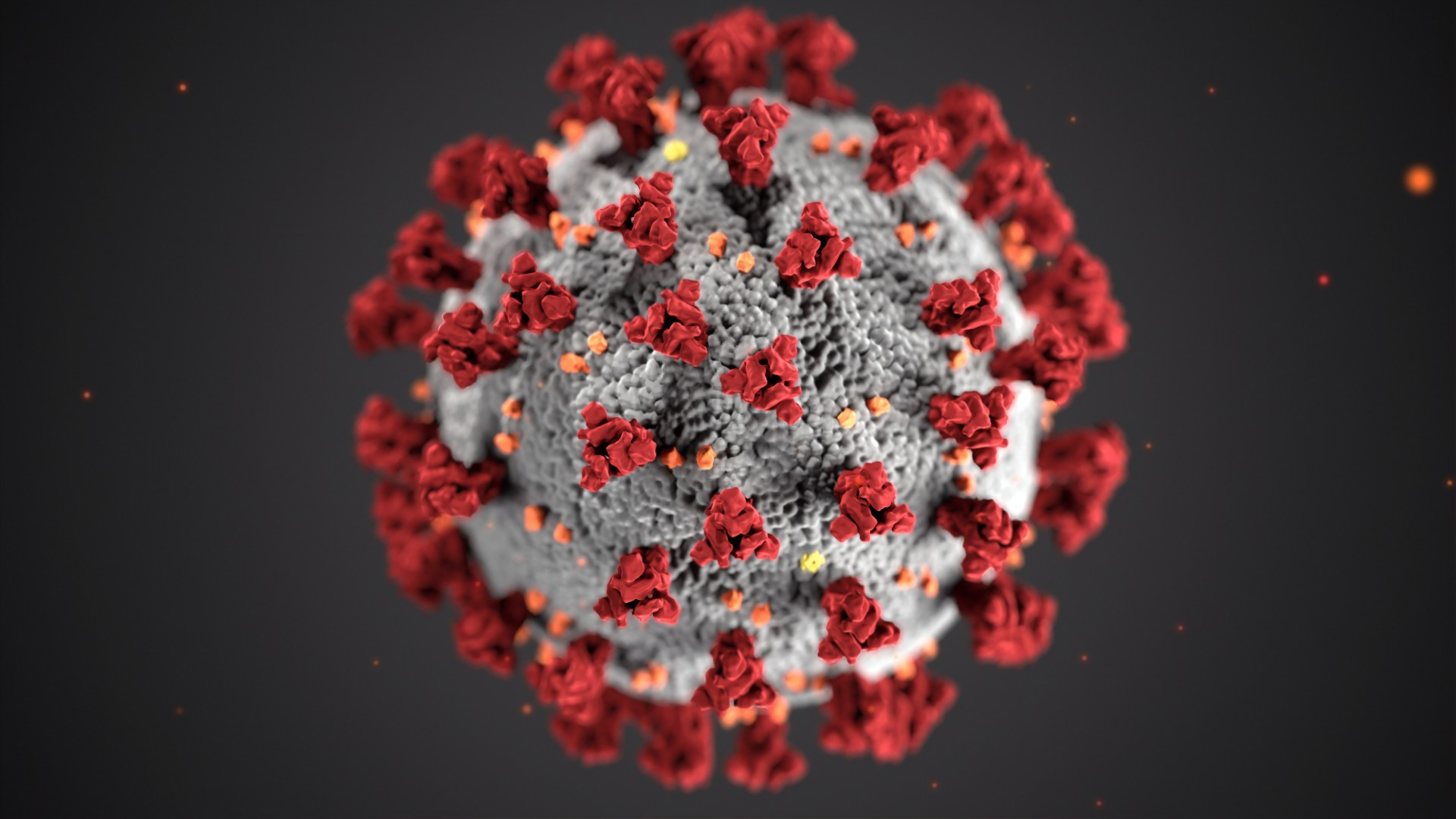 Rechtenvrije foto van het coronavirus door CDC via Unsplash ivm de Covid 19 maatregelen.